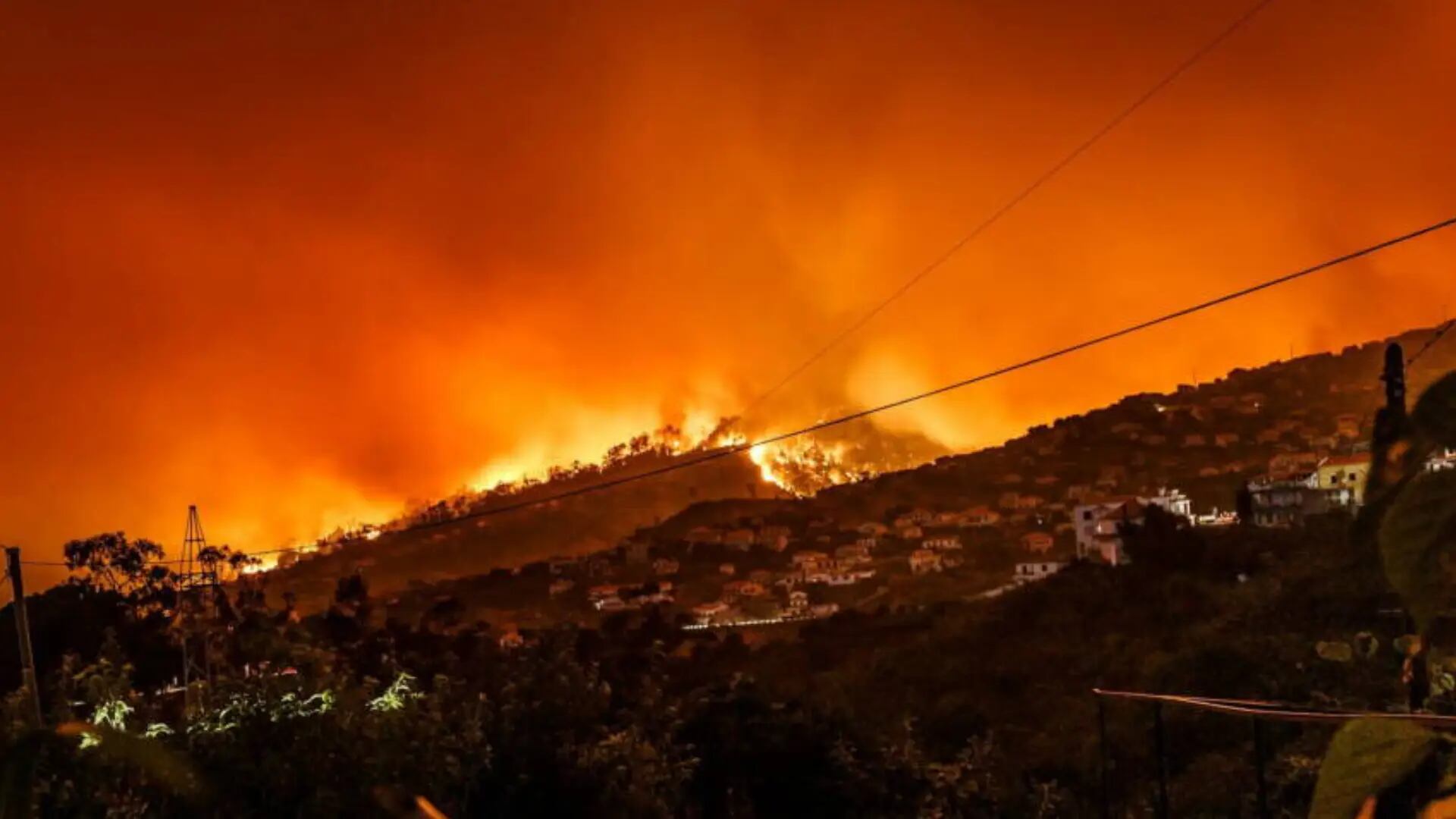 ¿Cuáles son las efemérides del 18 de agosto? Esto se celebra un día como hoy en México y el mundo
