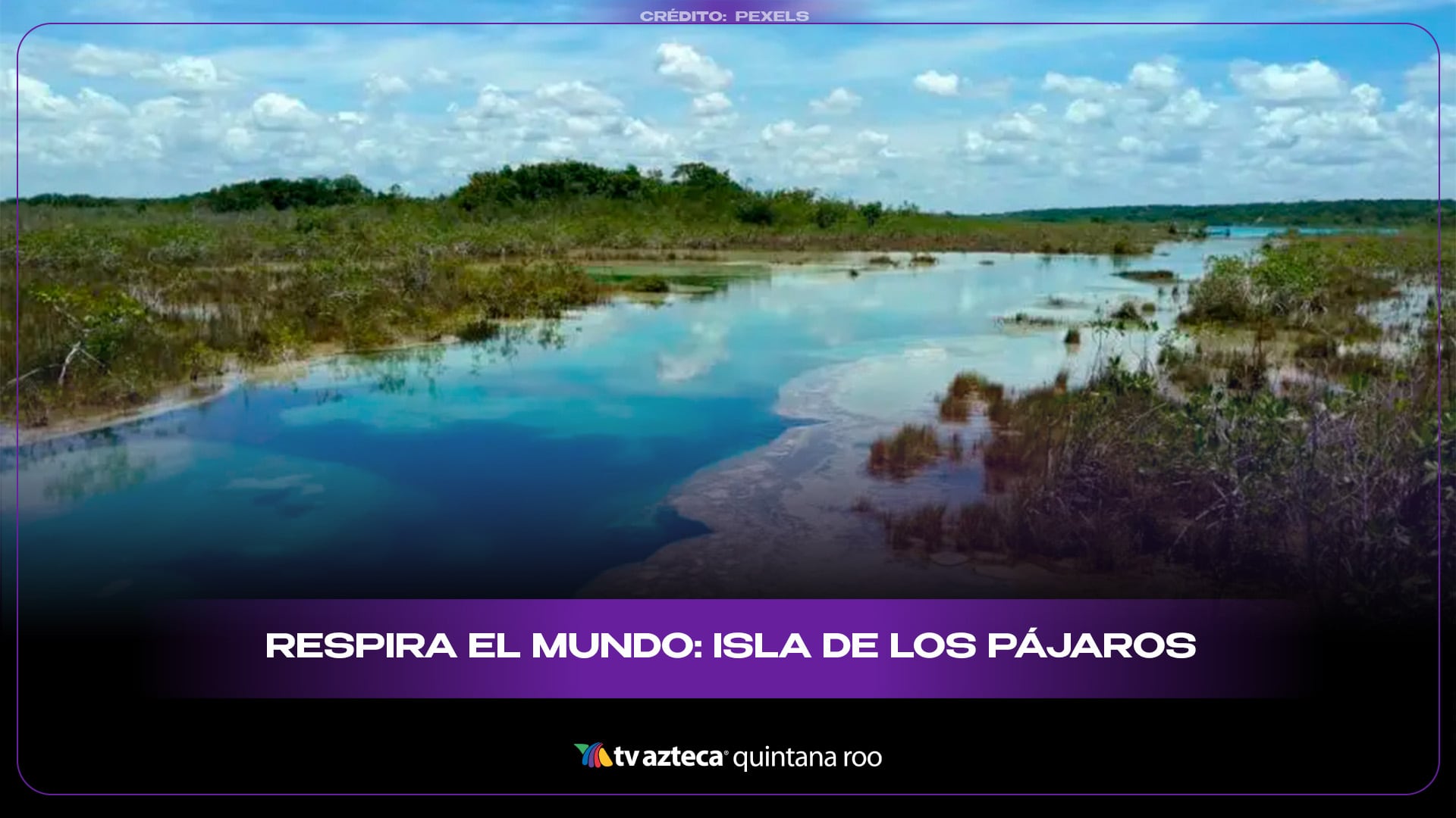 Respira el mundo: Isla de los Pájaros