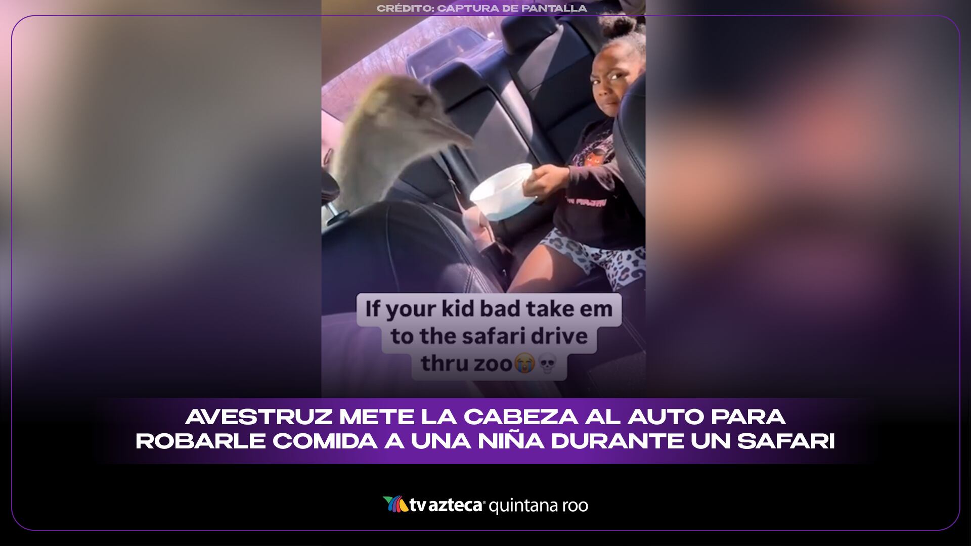 Avestruz mete la cabeza al auto para robarle comida a una niña durante un safari y el video se vuelve viral