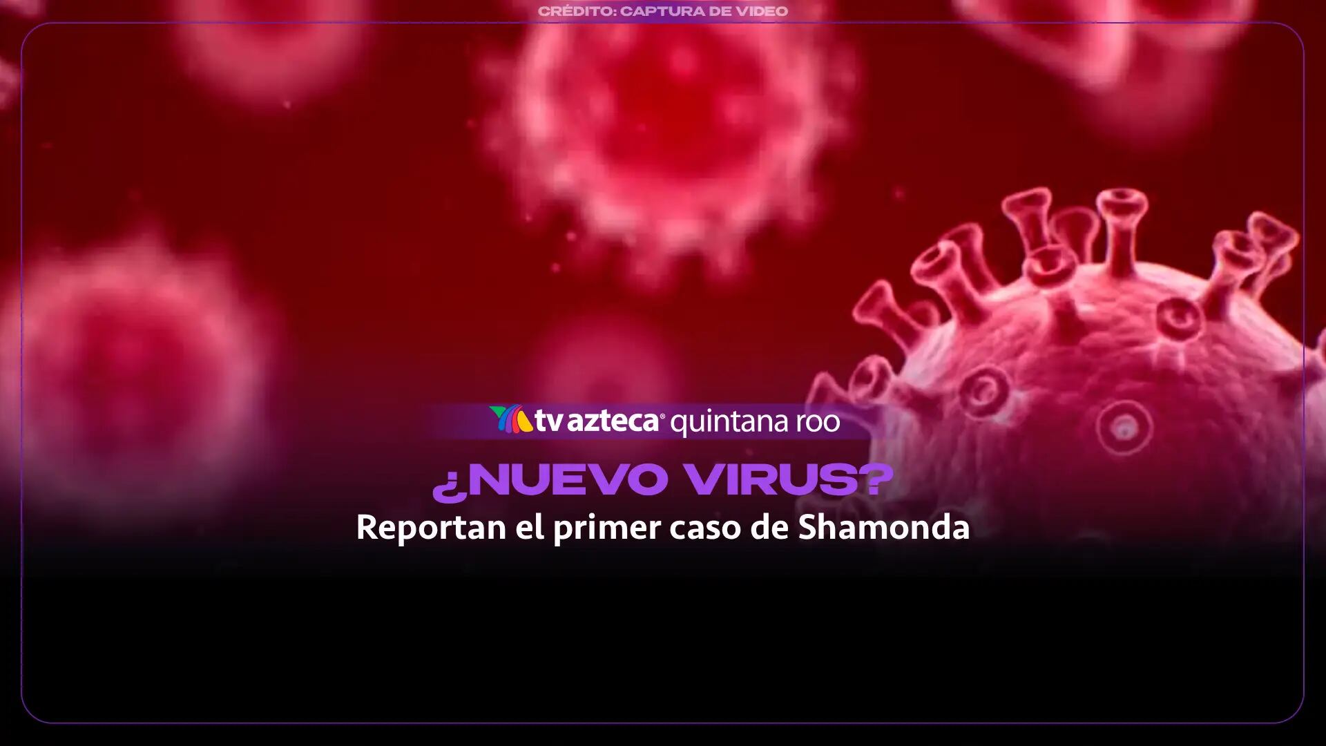 ¿Se acerca un nuevo virus mundial? Francia reporta el primer caso de virus Shamonda que afecta a humanos