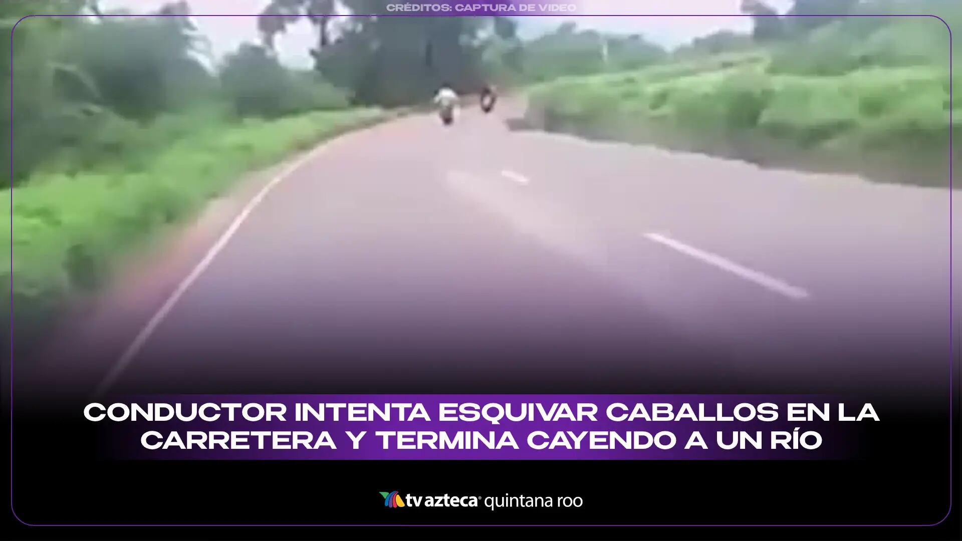 Conductor intenta esquivar caballos en la carretera y termina cayendo a un río