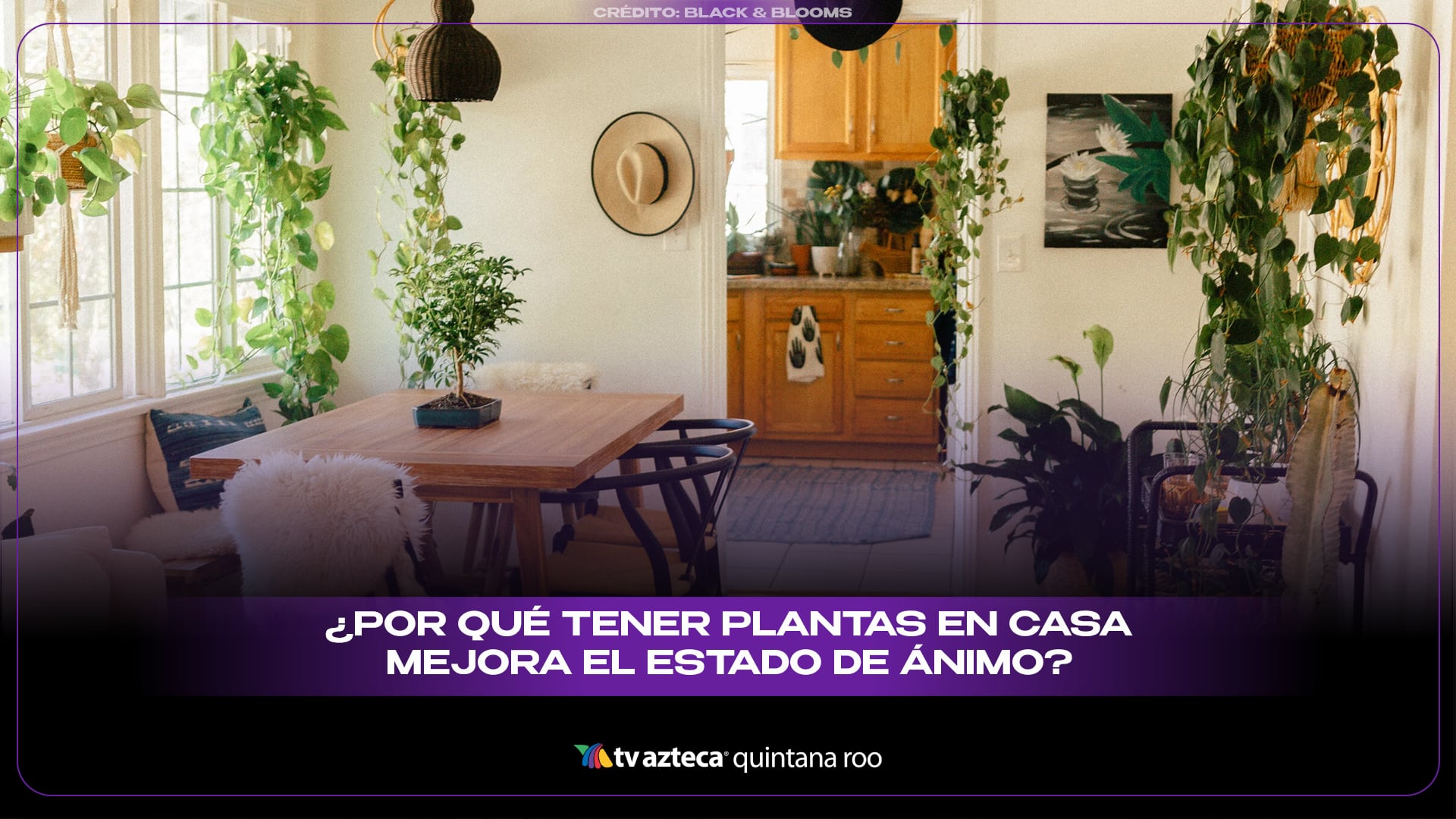 ¿Por qué tener plantas en casa mejora el estado de ánimo?