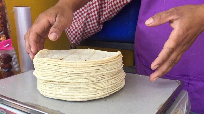 precio del kilo de tortilla en Quintana Roo