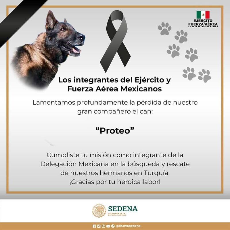 muere proteo