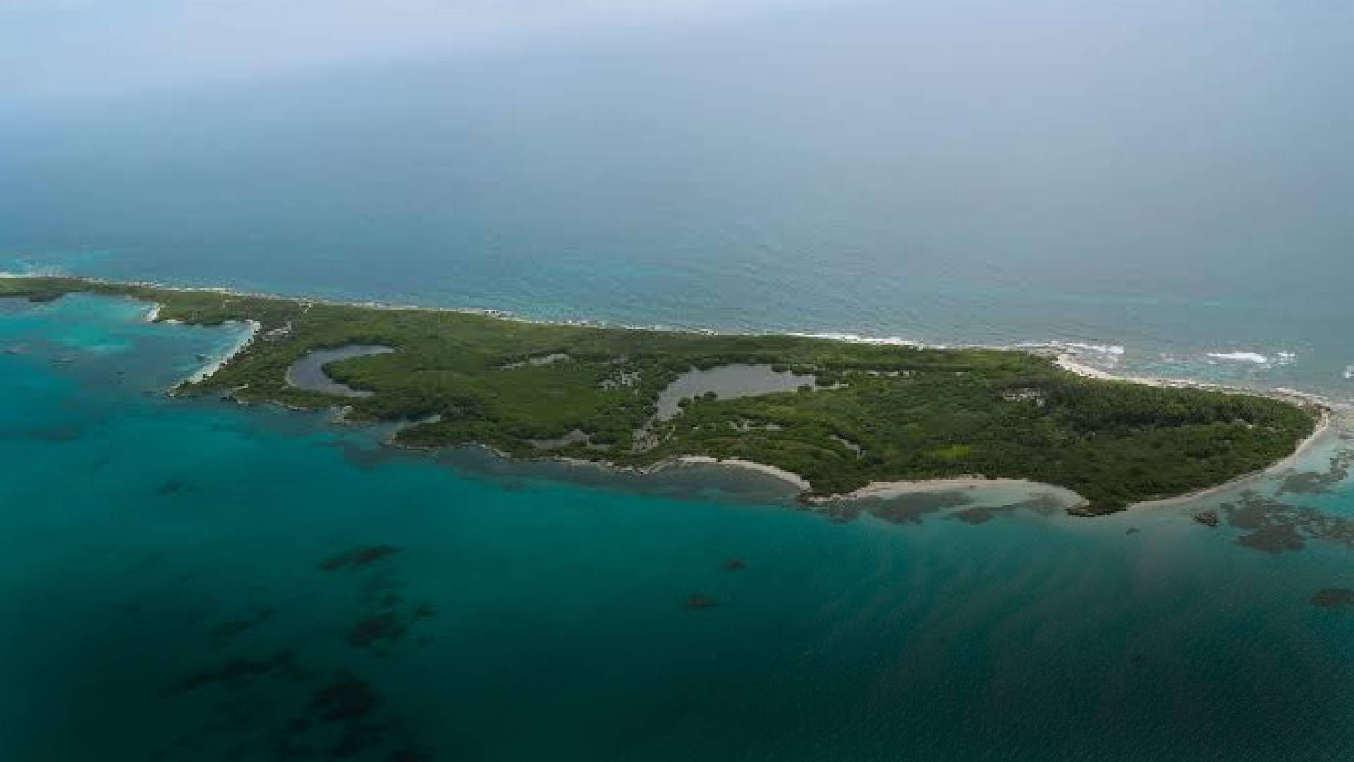 El Caribe mexicano forma parte de la ruta migratoria hacia Sudamérica.