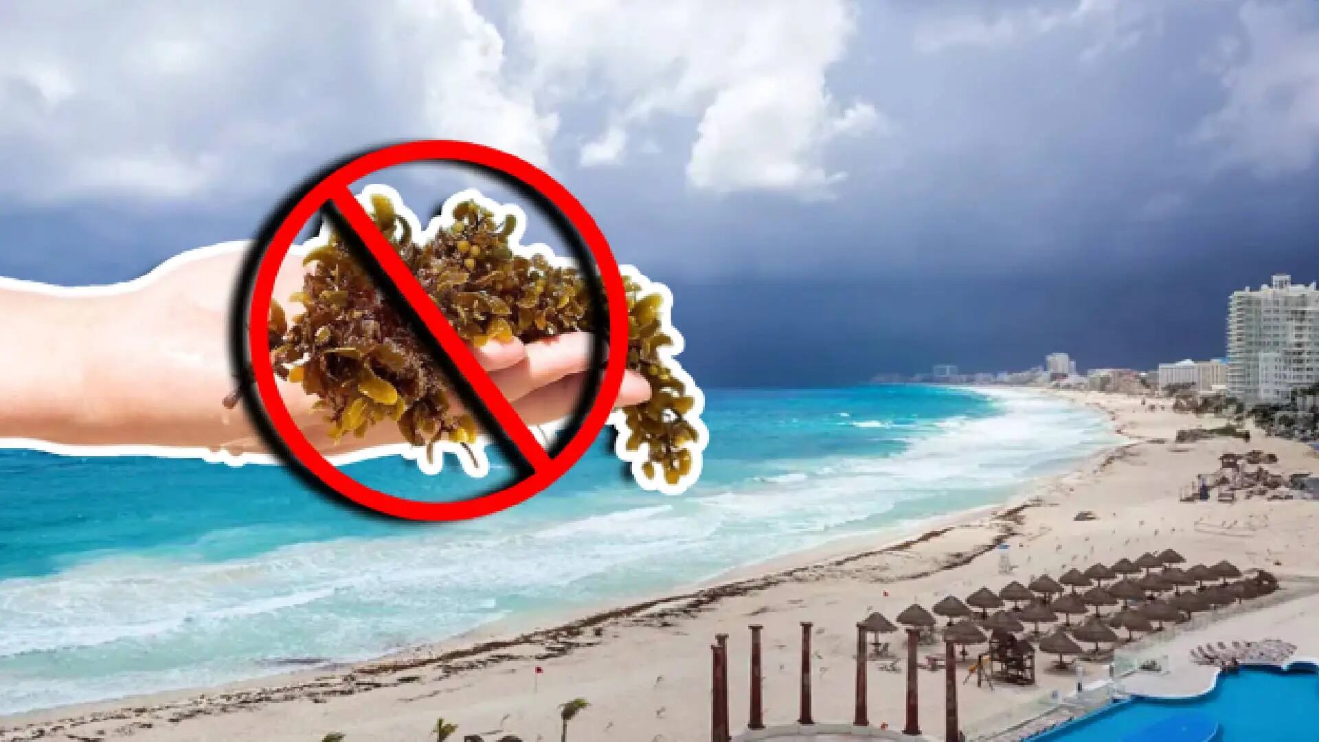 ¡OJO! Estas están libres de sargazo en Cancún, Playa del Carmen y Tulum HOY 21 de agosto de 2026
