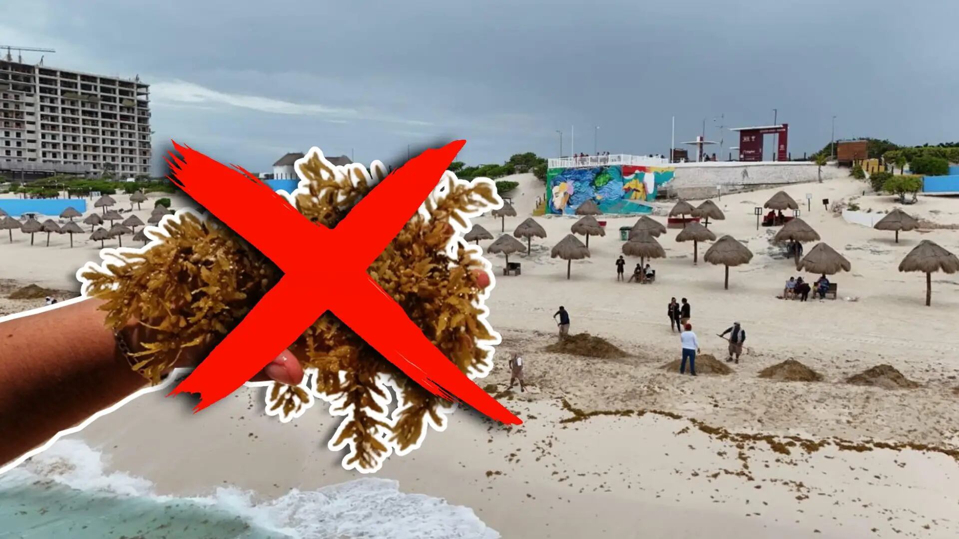 ¿A dónde ir? Playas sin sargazo en Cancún y todo Quintana Roo HOY 30 de agosto 2026