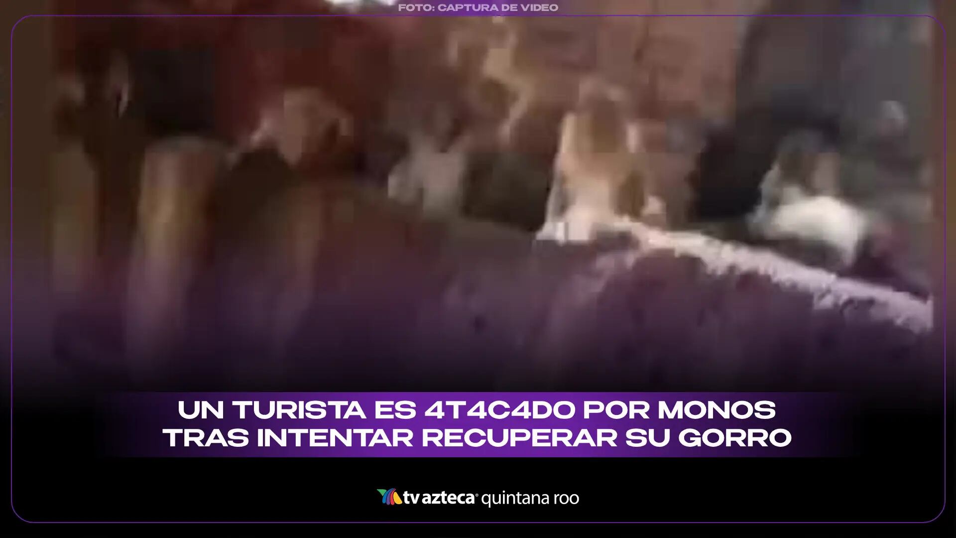 Lección aprendida: Un turista es atacado por monos tras intentar recuperar su gorro a la fuerza