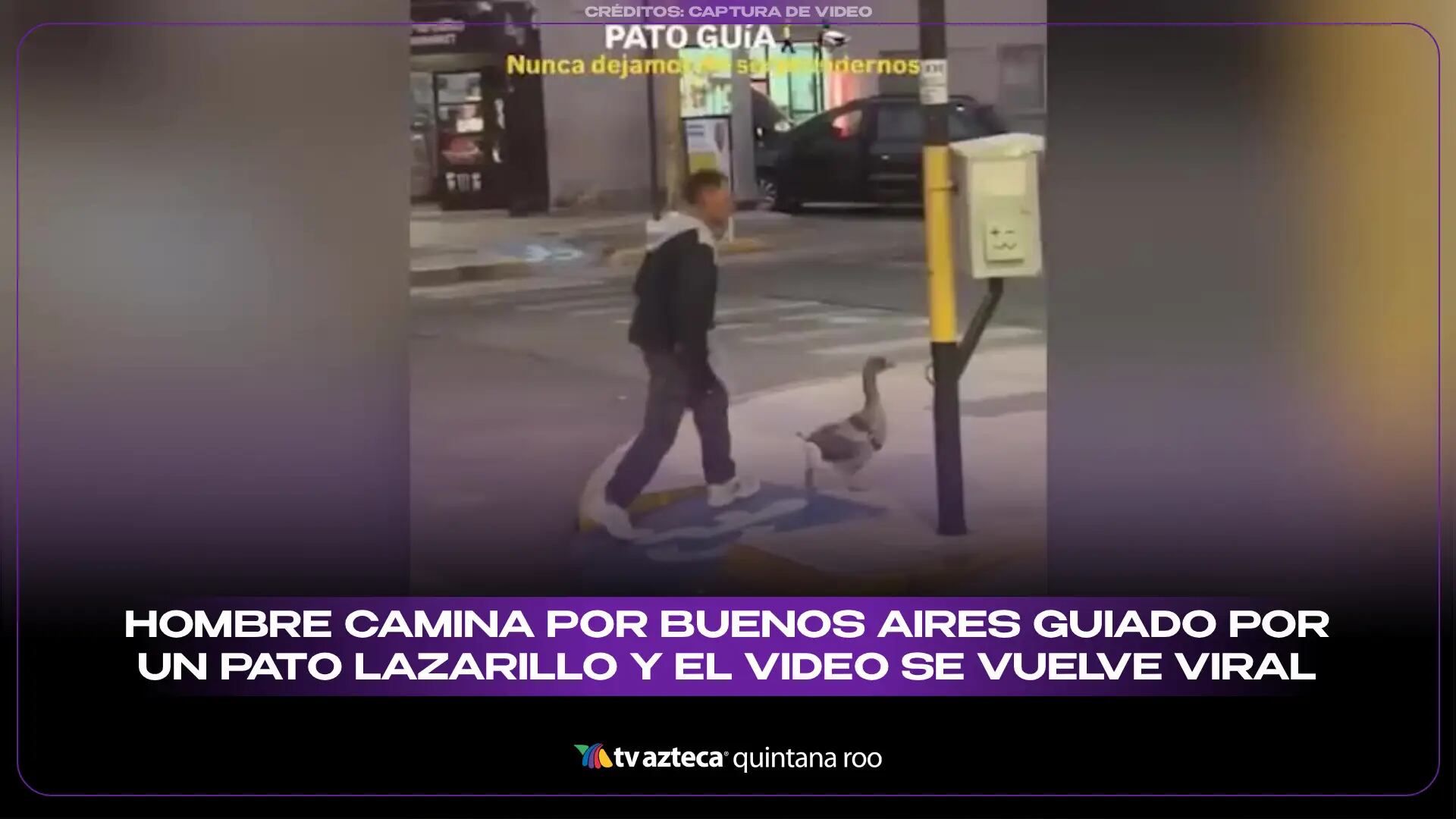 Hombre camina por Buenos Aires guiado por un pato lazarillo y el video se vuelve viral