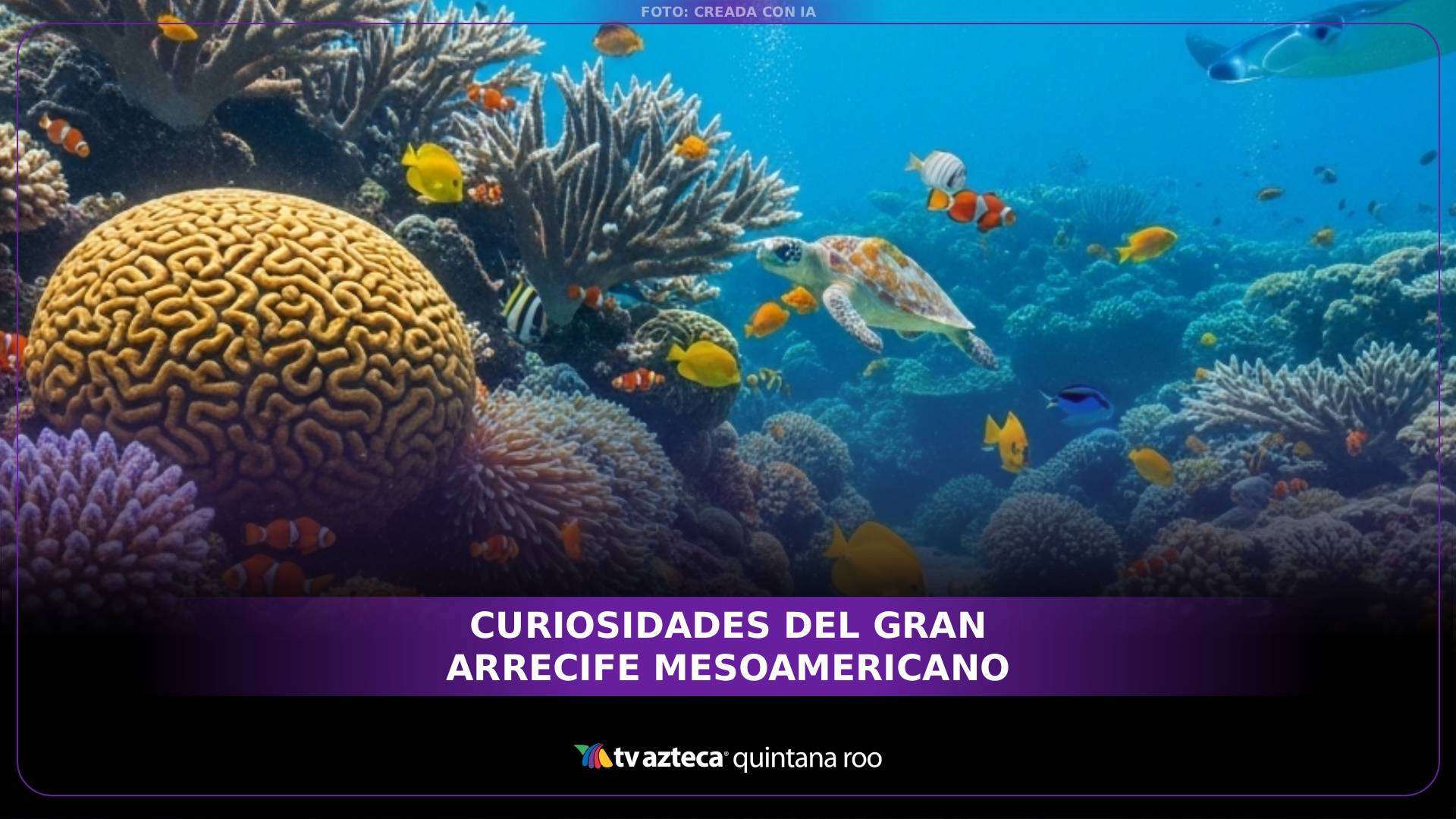 Curiosidades del Gran Arrecife Mesoamericano: ¿Ya lo sabías?