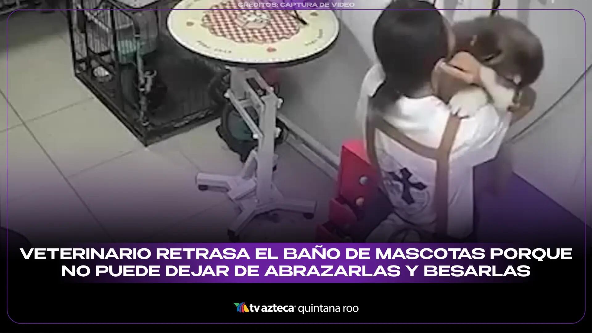 Veterinario retrasa el baño de mascotas porque no puede dejar de abrazarlas y besarlas