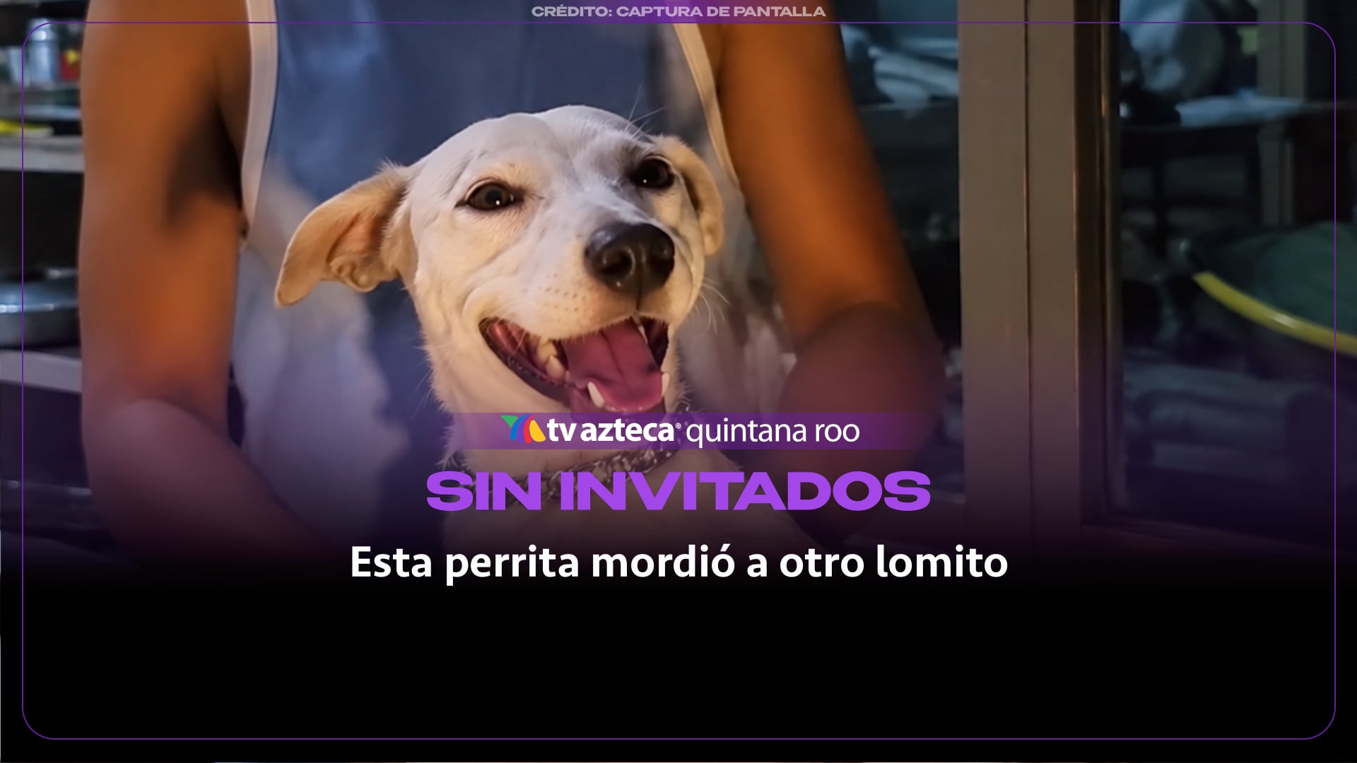 No le gustan los invitados.