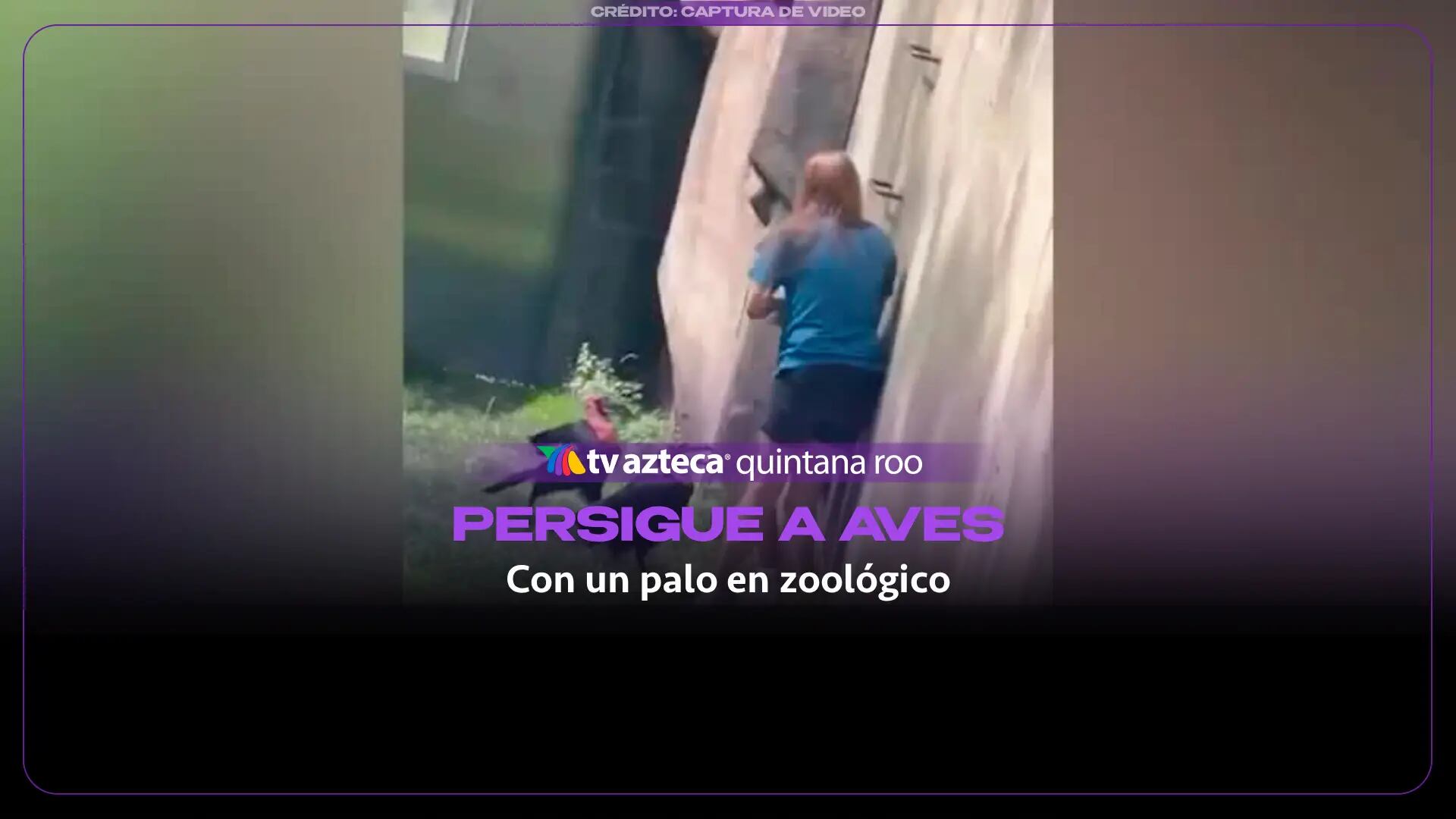 VIDEO VIRAL: Niño persigue agresivamenente a las aves de un zoológico con un palo y ellas se defienden
