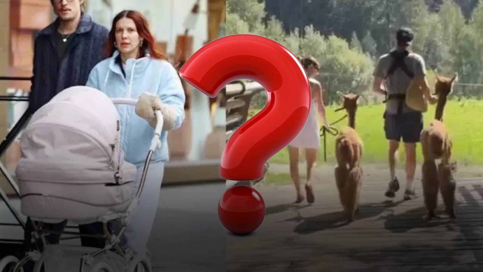 Millie Bobby Brown y Jake Bongiovi amplían su familia mediante adopción.