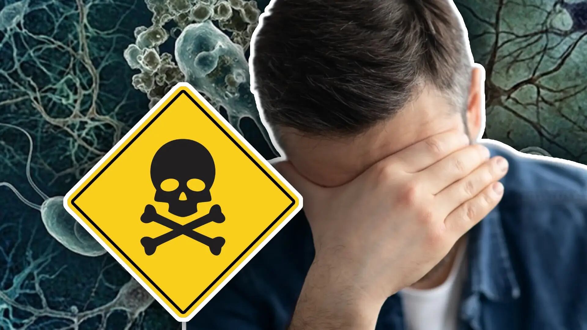 ¡Alerta mortal! Así es como la ameba comecerebros puede MATARTE en tan sólo 5 días