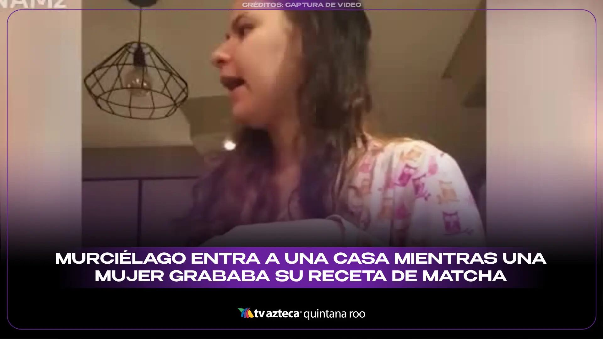 VIDEO: Murciélago entra a una casa mientras una mujer grababa su receta de matcha